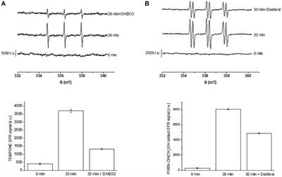 Characterization of Protein Radicals in Arabidopsis